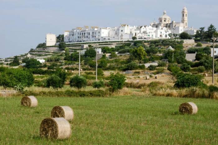 Вилла I Trulli Del Mulino Локоротондо Экстерьер фото